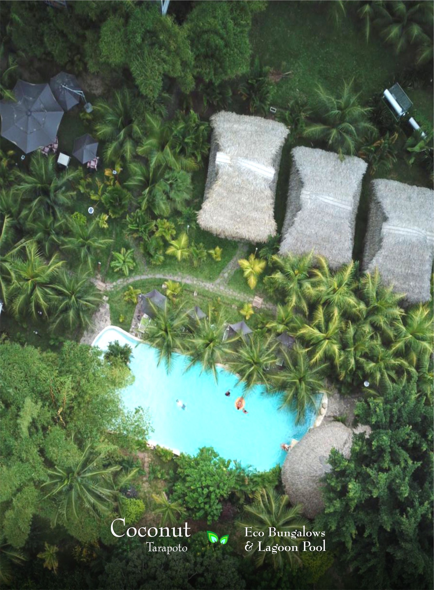 paquete-tarapoto-4d3n-con-una-noche-en-coconut-ecobungalows